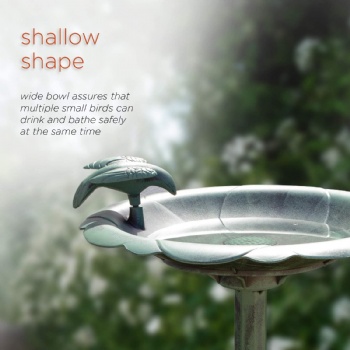 Antique Flower Birdbath